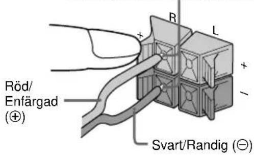 Röd/ Enfärgad (⊕) Svart/Randig (⊖)