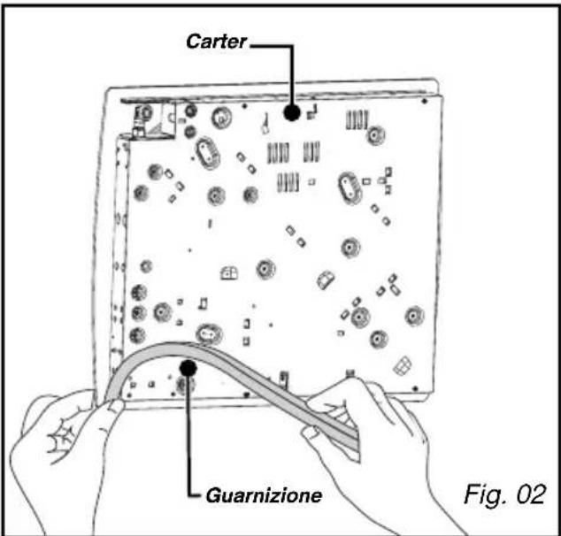 Carter Guarnizione Fig. 02