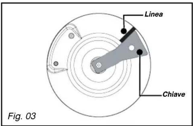 Linea Chiave Fig. 03