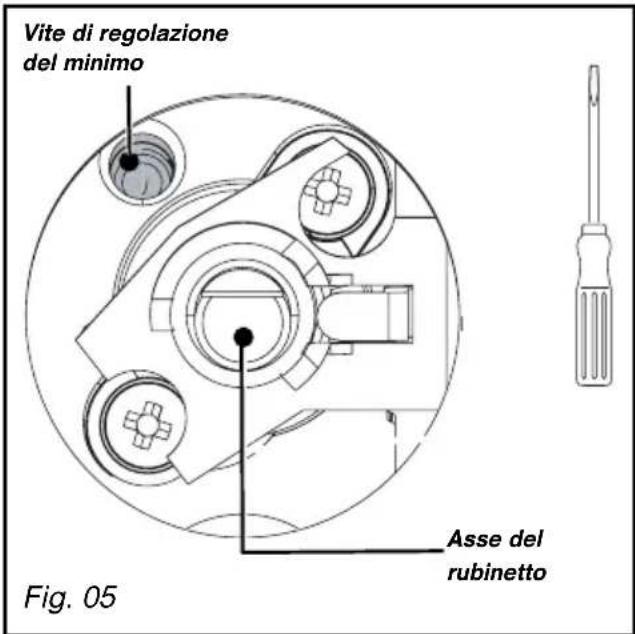 Vite di regolazione del minimo Asse del rubinetto Fig. 05
