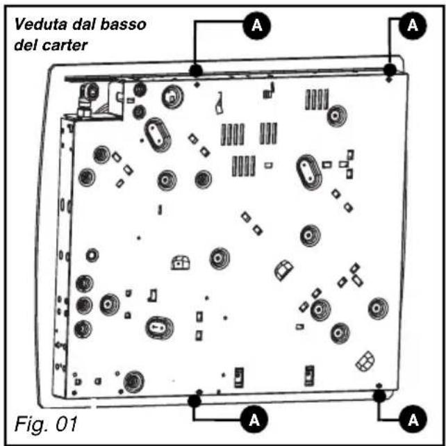 Veduta dal basso del carter Fig. 01
