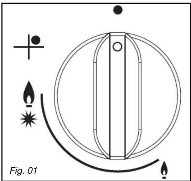 Fig. 01