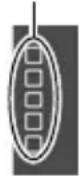CASIO GEC-10 - Umschalten zwischen dem Aufnahme- und Wiedergabemodus - 1