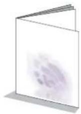 BENQ WDP01 - Package content - 9