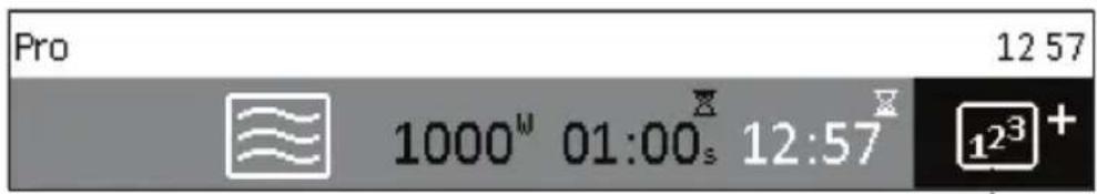 Pro 12 57 1000° 01:00s 12:57 12³ +