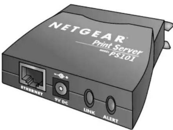 NETGEAR® Print Server MSFT: PS101 RTNEMET 9V DC LINK ALERT