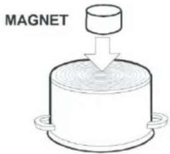MAGNET