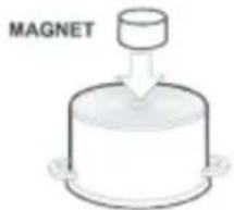 MAGNET