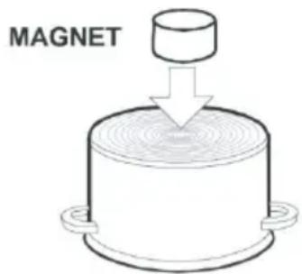 MAGNET