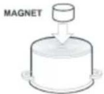 MAGNET