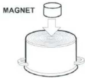 MAGNET