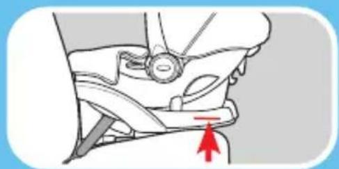 GRACO Trax - Is Everything Correct? - 3
