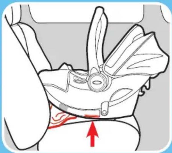 GRACO Trax - 3-D Install Without Base Rear-Facing With Vehicle Seat Belt - 2