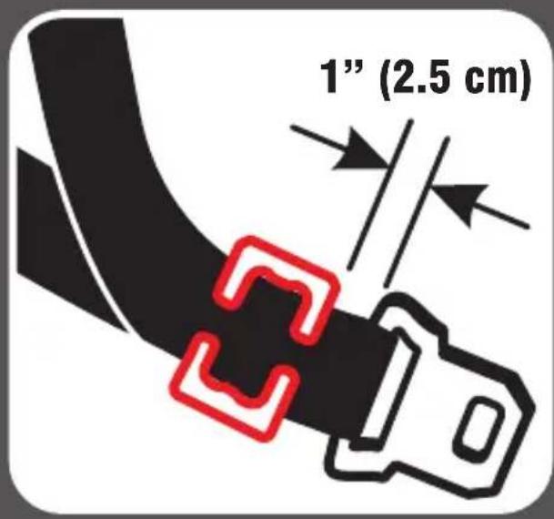 1" (2.5 cm)