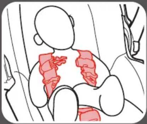 GRACO Trax - 4-C Securing Child in Car Seat - 2