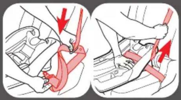 GRACO Trax - Sliding Latch Plate and ALR Retractor - 2