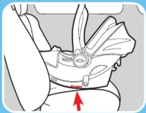 GRACO Trax - 3-D Install Without Base Rear-Facing With Vehicle Seat Belt - 1
