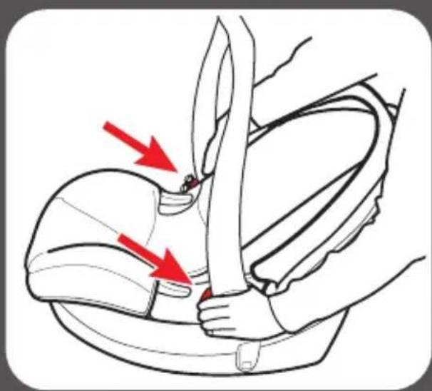 GRACO Trax - Handle Has 4 Positions - 1
