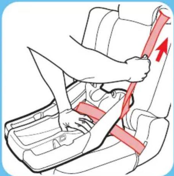 GRACO Trax - Lock the Vehicle Seat Belt - 1