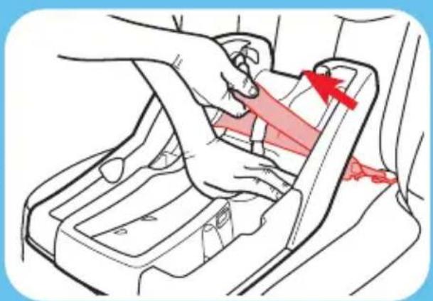 GRACO Trax - Place Base in Back Seat of the Vehicle - 6