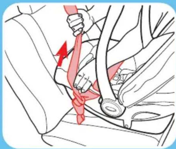 GRACO Trax - Lock the Vehicle Seat Belt - 5
