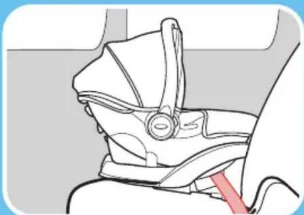 GRACO Trax - !WARNING! - 2