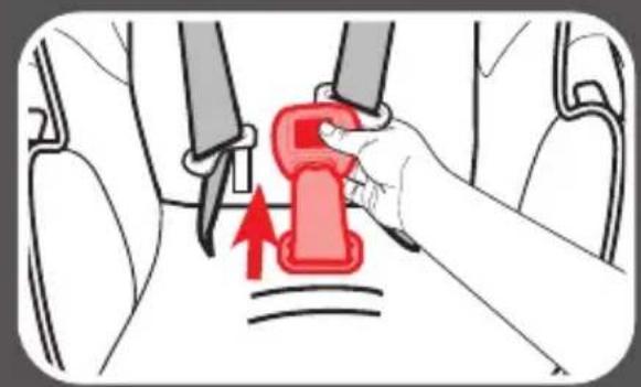 GRACO Trax - DO NOT SUBMERGE THE BUCKLE - 2