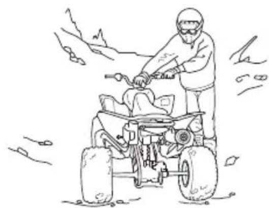 Honda TRX450R (2013) - WARNING - 1