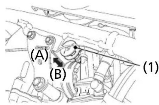 (A) (B) (1)