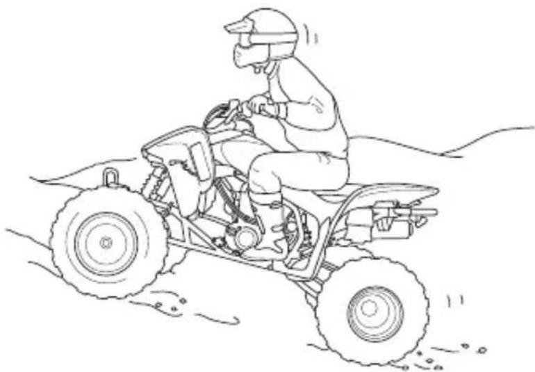 Honda TRX450R (2013) - WARNING - 1