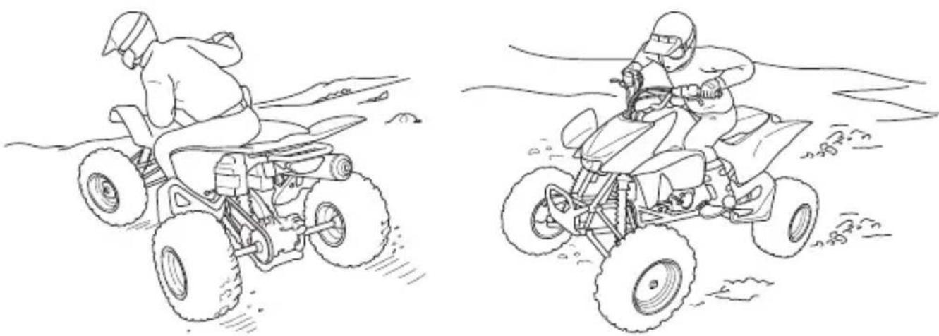 Honda TRX450R (2013) - WARNING - 1