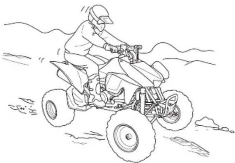 Honda TRX450R (2013) - WARNING - 1