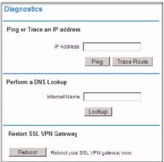 Diagnostics Ping or Trace an IP address IP Address Ping Trace Route Perform a DNS Lookup Internet Name Lockup Restart SSL VPN Gateway Reboot Reboot your SSL VPN gateway now.