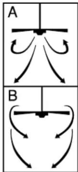 A B