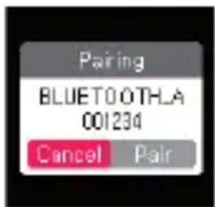 Pairing BLUETO OTHLA 001234 Cancel Pair