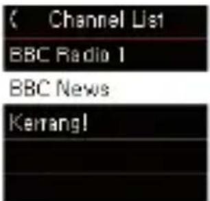 ( Channel List BBC Radio 1 BBC News Kerrang!