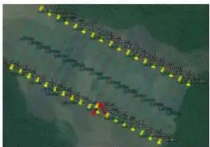Aerial or satellite image showing a grid of yellow markers with red highlights, possibly indicating locations or data points, overlaid on a green background.