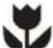 ELECTROLUX ESE5401A-B - tips dan informasi - 1