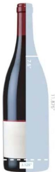 HISENSE RW17W4NSWGF - WINE COOLER BOTTLE CAPACITY - 4