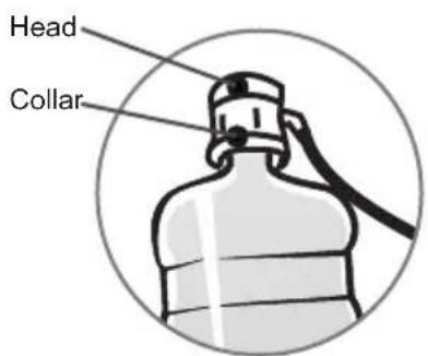 Head Collar