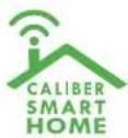 CALIBER HWS 301 - No. 4 Control device - 1