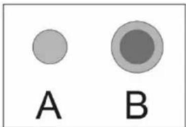A B