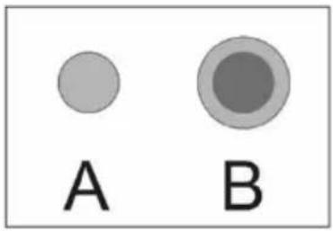 A B