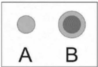 A B