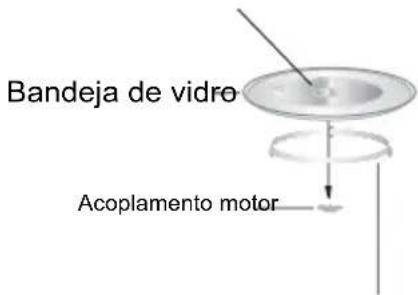 Bandeja de vidro Acoplamento motor