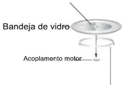 Bandeja de vidro Acoplamento motor
