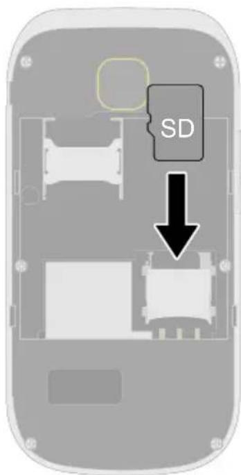 SD