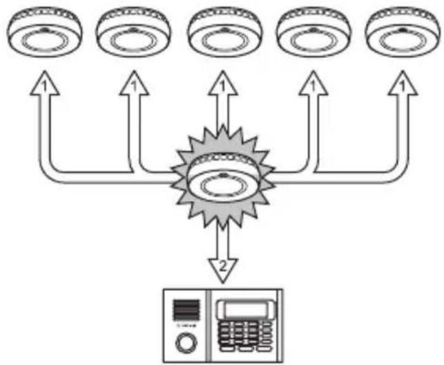 OLYMPIA SI 300 - Signalisierung - 1