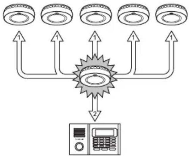 OLYMPIA SI 300 - Signalling - 1