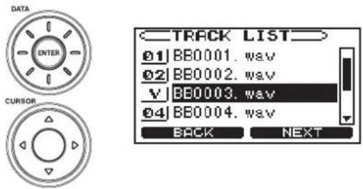 DATA ENTER CURSOR TRACK LIST 01 BB0001. wav 02 BB0002. wav V BB0003. wav 04 BB0004. wav BACK NEXT